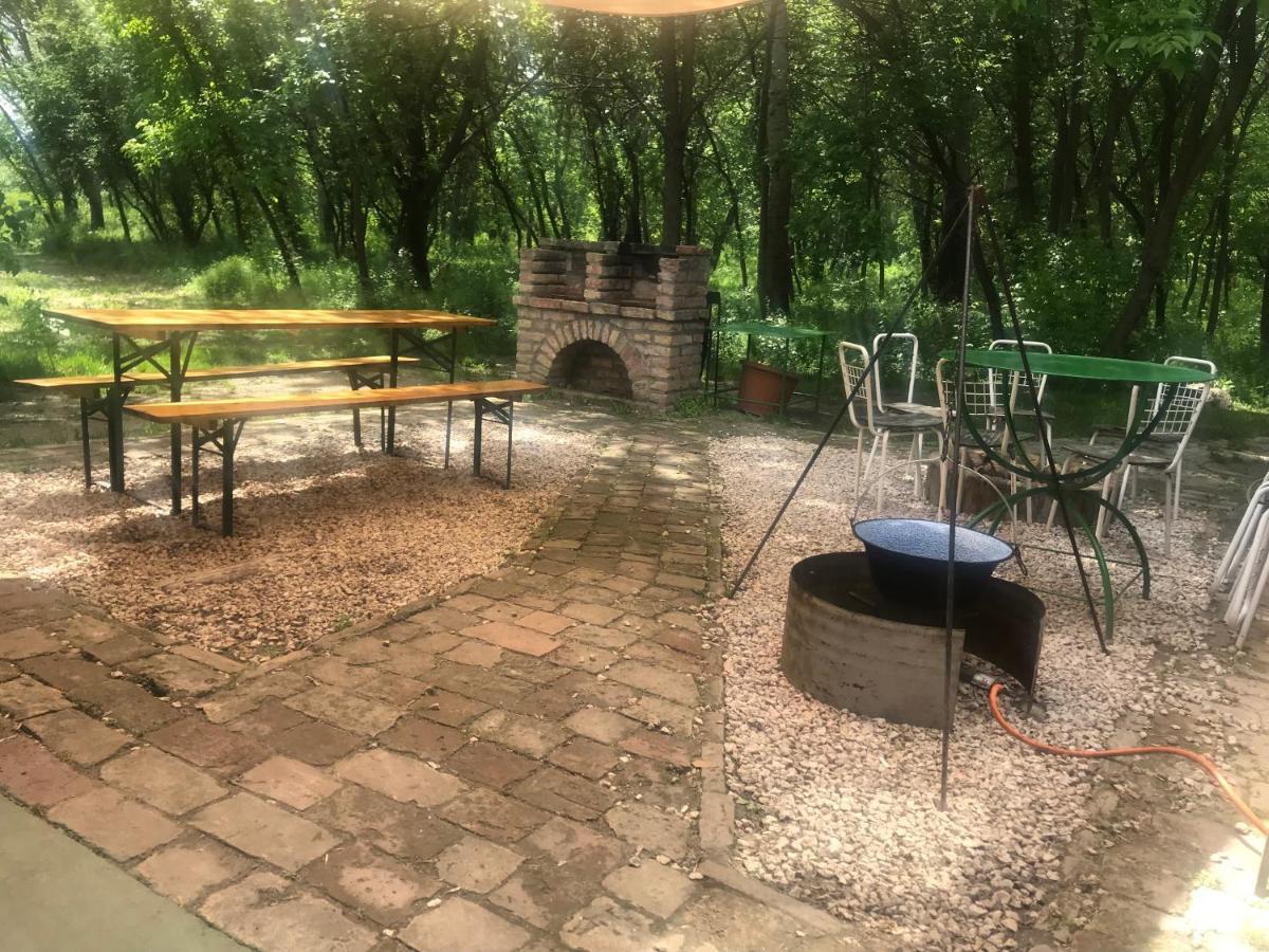 Tisza-Beach Wild Camping 5 Szeged Ngoại thất bức ảnh