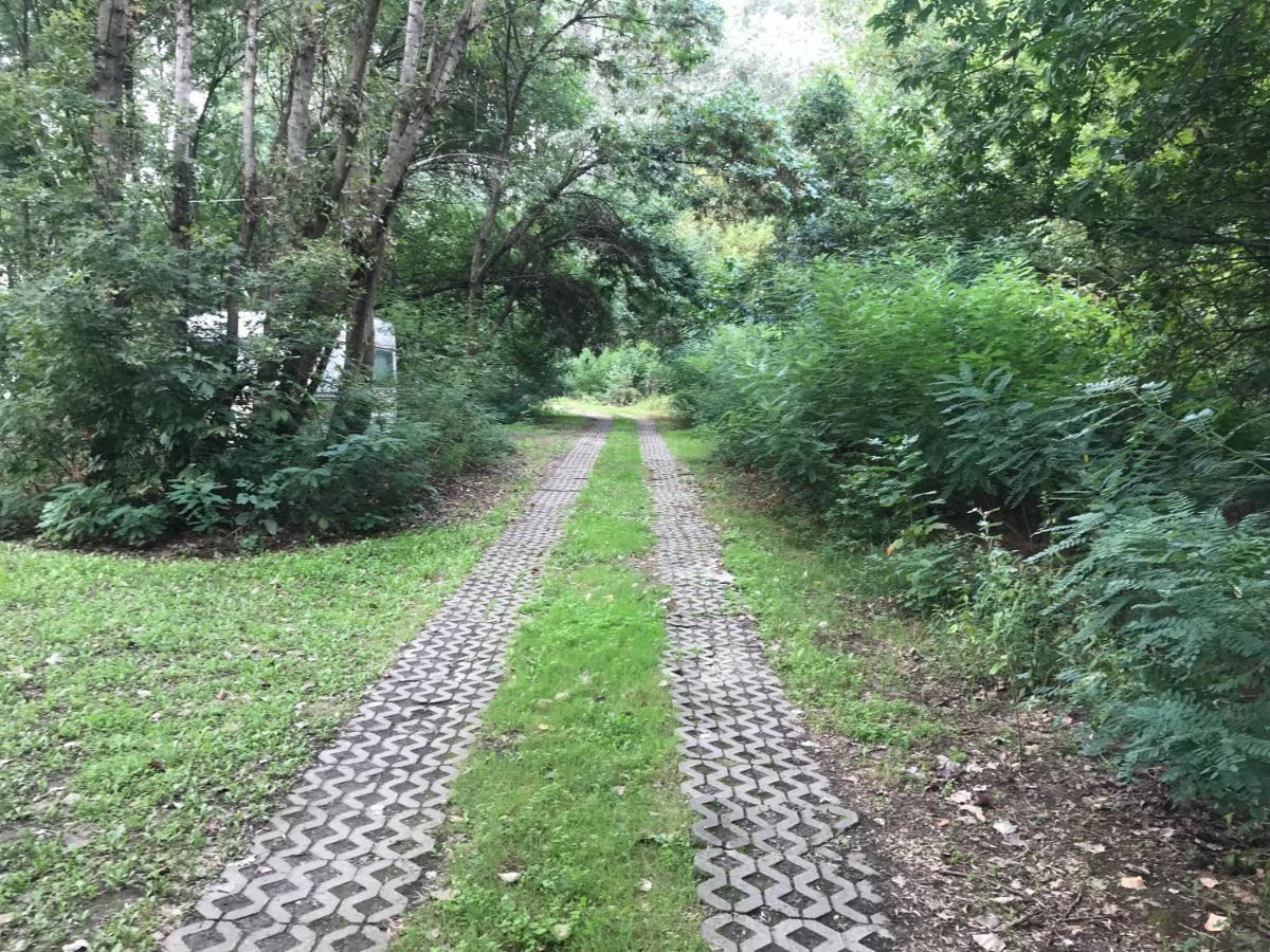Tisza-Beach Wild Camping 5 Szeged Ngoại thất bức ảnh