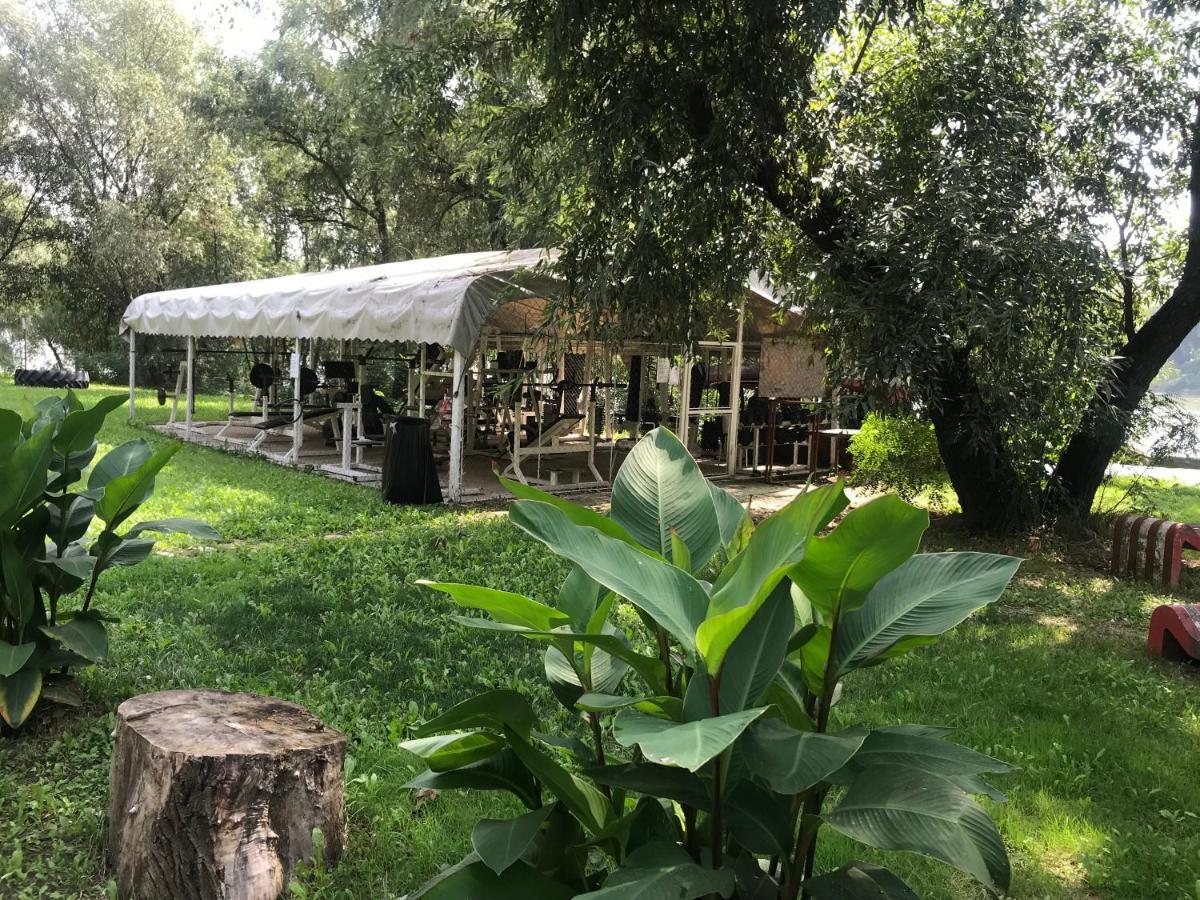 Tisza-Beach Wild Camping 5 Szeged Ngoại thất bức ảnh